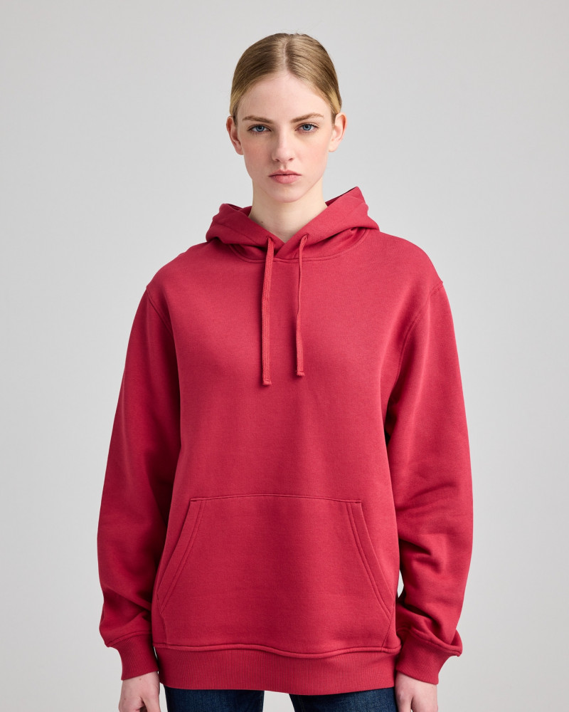 Sudadera capucha Iconic Fit Unisex Downhill | Organic Reworks