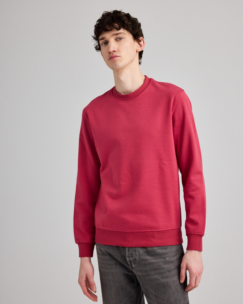 Goofy Unisex Regular Fit Sweatshirt | Organic Reworks