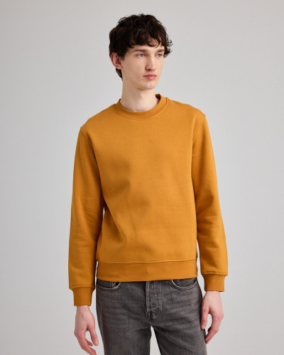 Goofy Unisex Regular Fit Sweatshirt | Organic Reworks