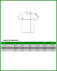 Regular fit T-shirt Ice Tee Unisex | Organic Reworks